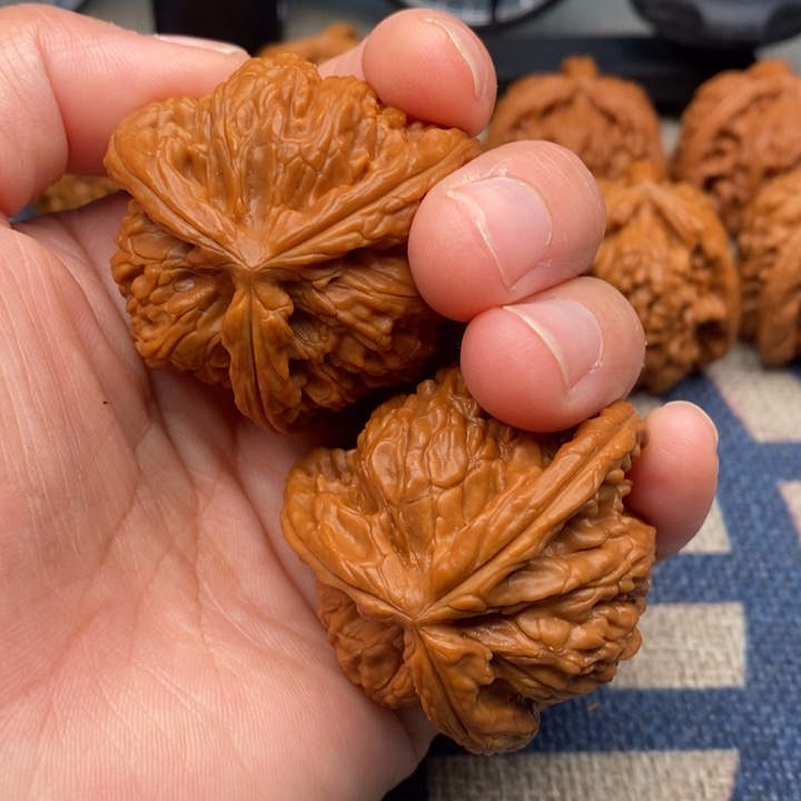 吊坠文玩核桃龟***明三棱