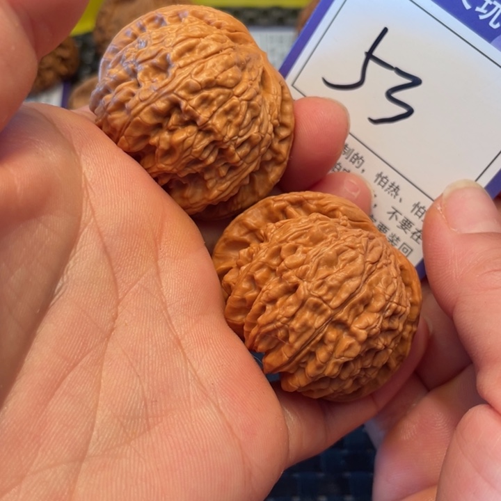 桃核把件44狮子53。。。。。。。。。