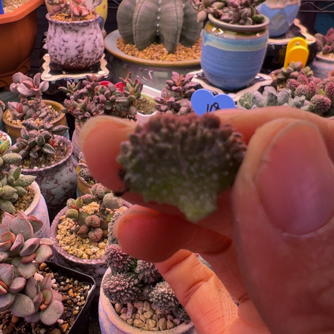 简***单好的我知道你在想什么我