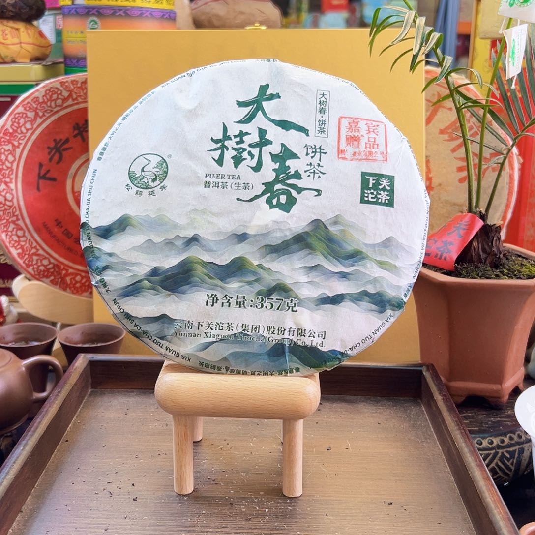 2024年下关大树春357克生茶