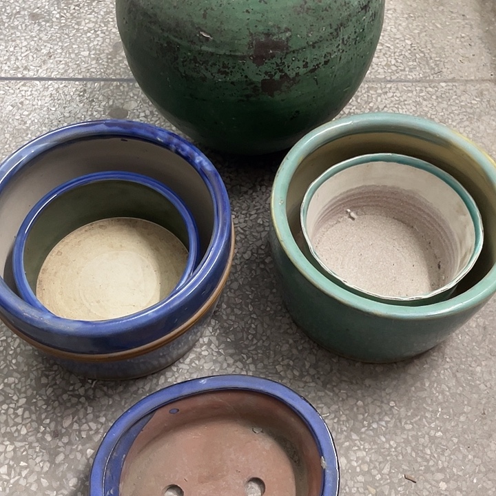 杨***3搪瓷268…………………………