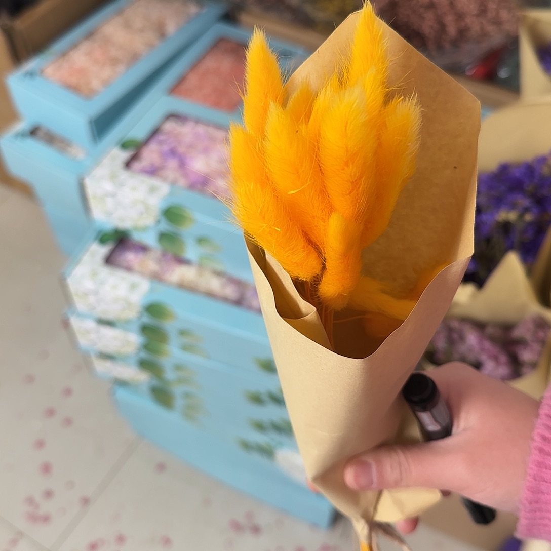 35号橙色24枝兔尾草