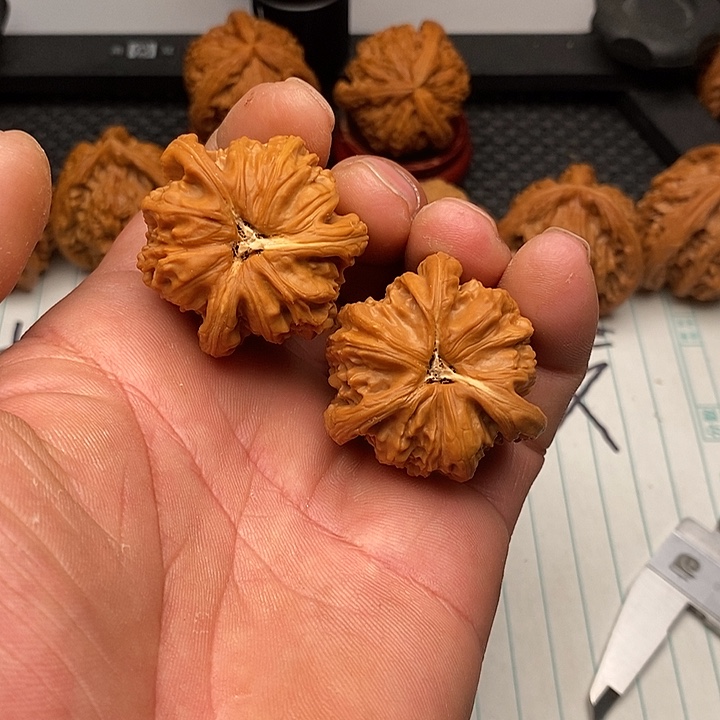 核桃手串/手链白狮子10