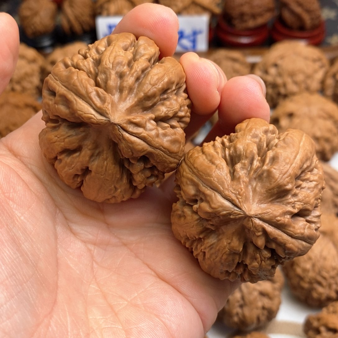 【闪购商品】文玩核桃把件边42肚47尺全品霸王龙