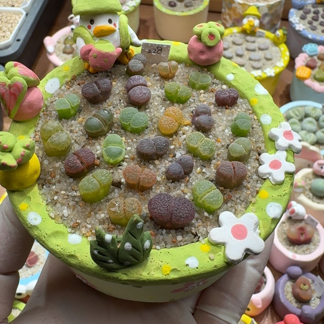 y***ㅤ1202-08连盆带花风铃