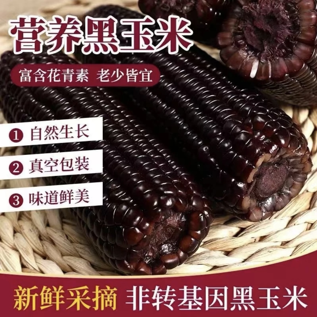 【试吃2根】黑土地黑糯玉米整箱12根单根240-280g软糯香甜穗穗新鲜