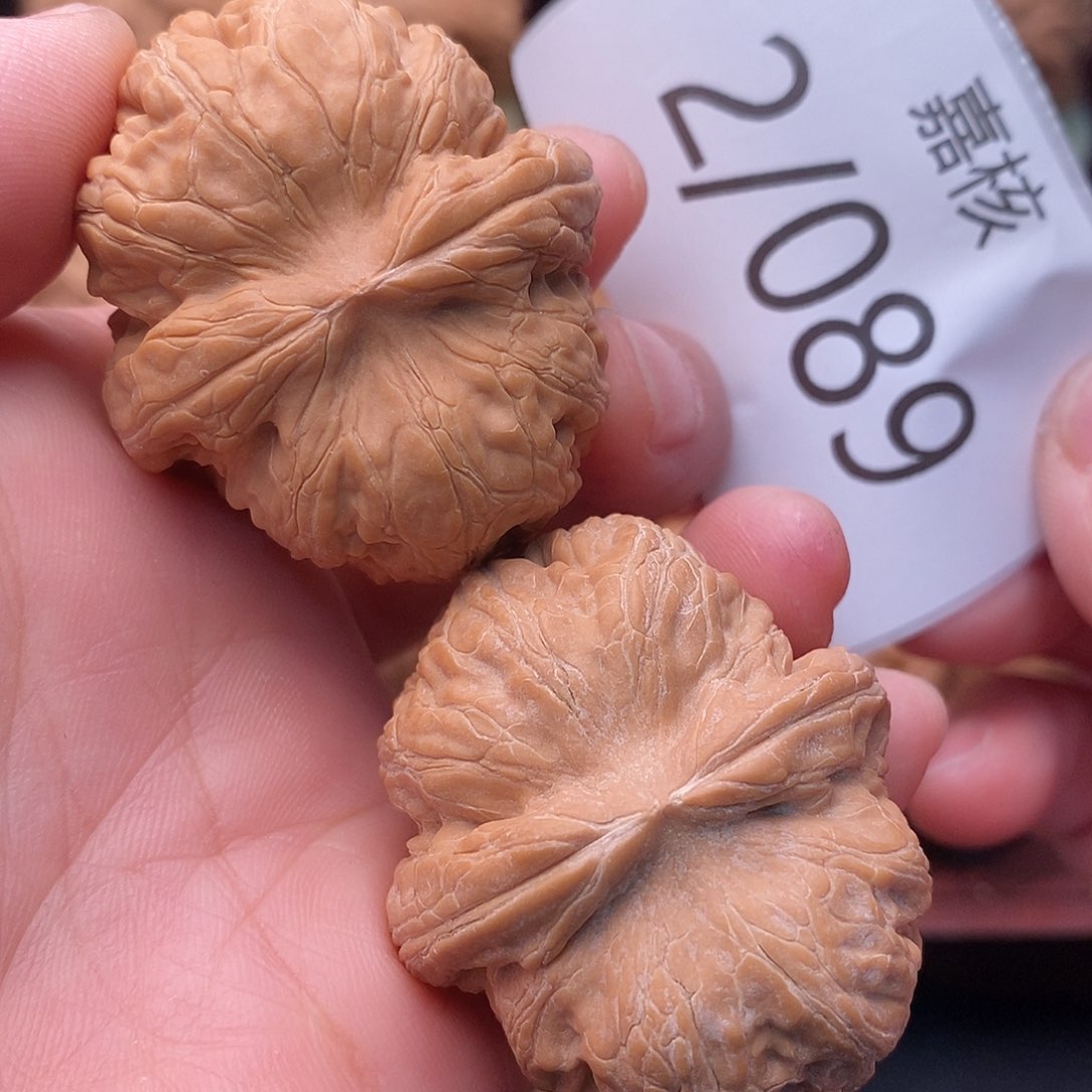 文玩核桃把件42全品元宝