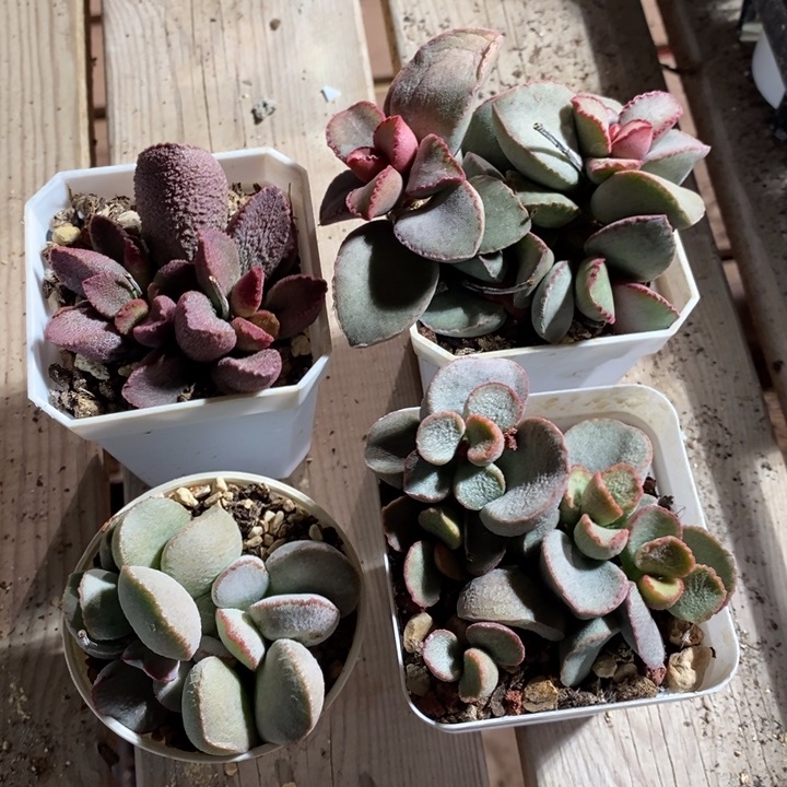 15251一组一组一组