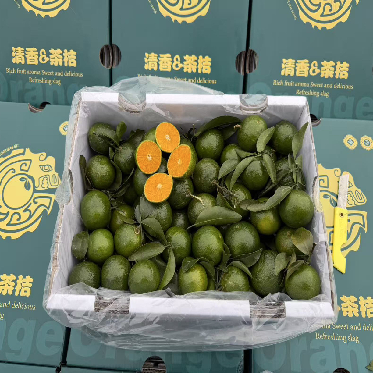 云南川宝整箱5斤装茶橘 纯甜口感淡淡的茶香味一口爆汁 包头同城云南省