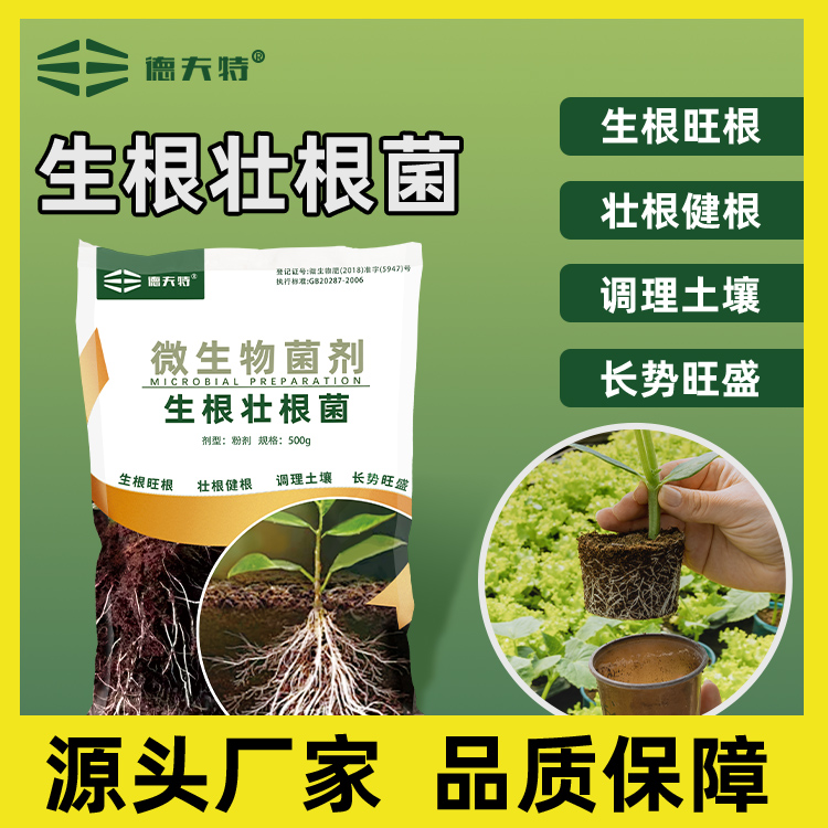 捷沅生根壮根菌肥猛生根原液生根壮苗果树蔬菜花卉生根拒腐水溶肥