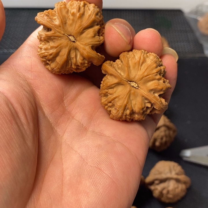 文玩核桃把件4666566666