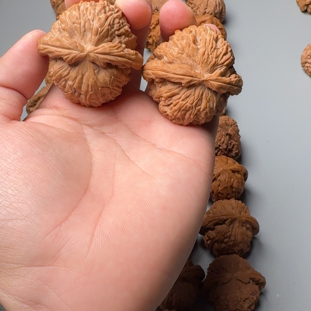 44边肚同尺白狮子123456789000