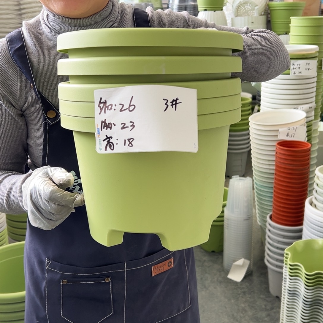 球根盆3#果绿色5个无托