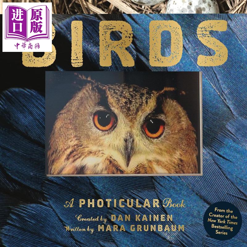【中商】3D立体绘本 鸟类 Birds 英文原版 动物绘本 立体场景读物