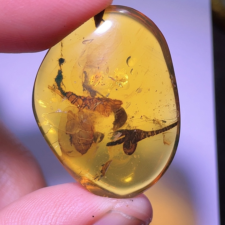 琥珀裸石未镶嵌，