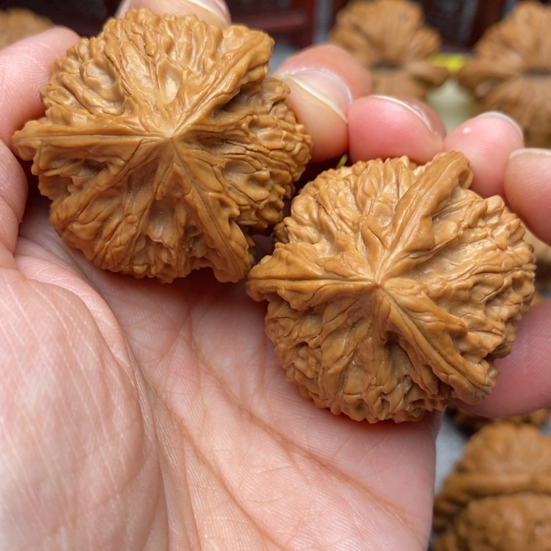 文玩核桃把件全品毕业御龙球奔40尺