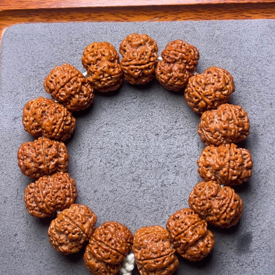 菩提7号金刚菩提原生态梅花25