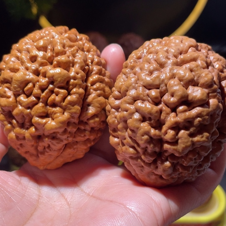 桃核把件疙瘩龙金刚菩提