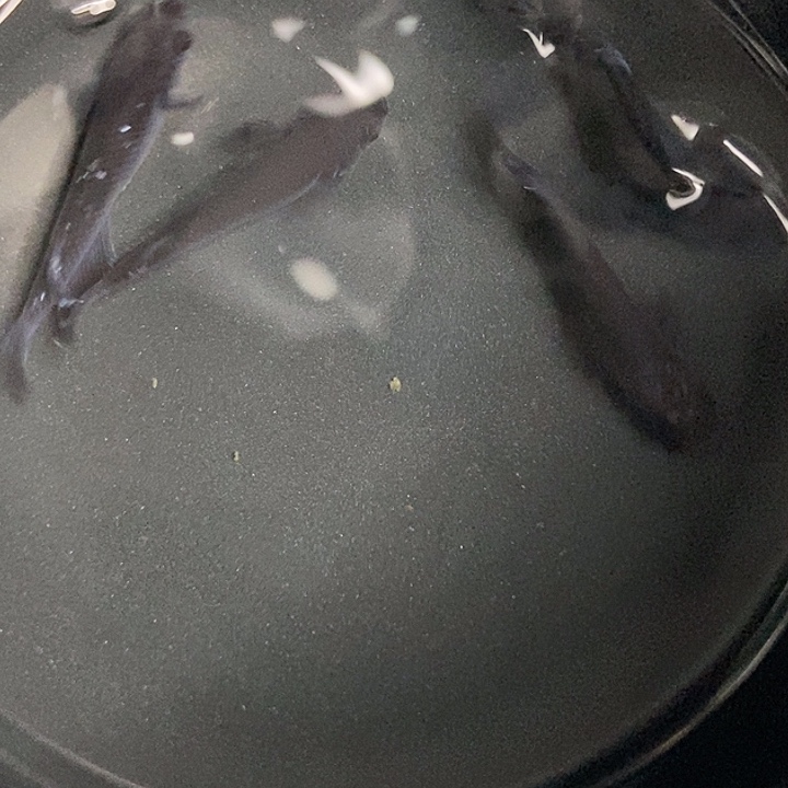 海水鱼墨子的鱼26天目