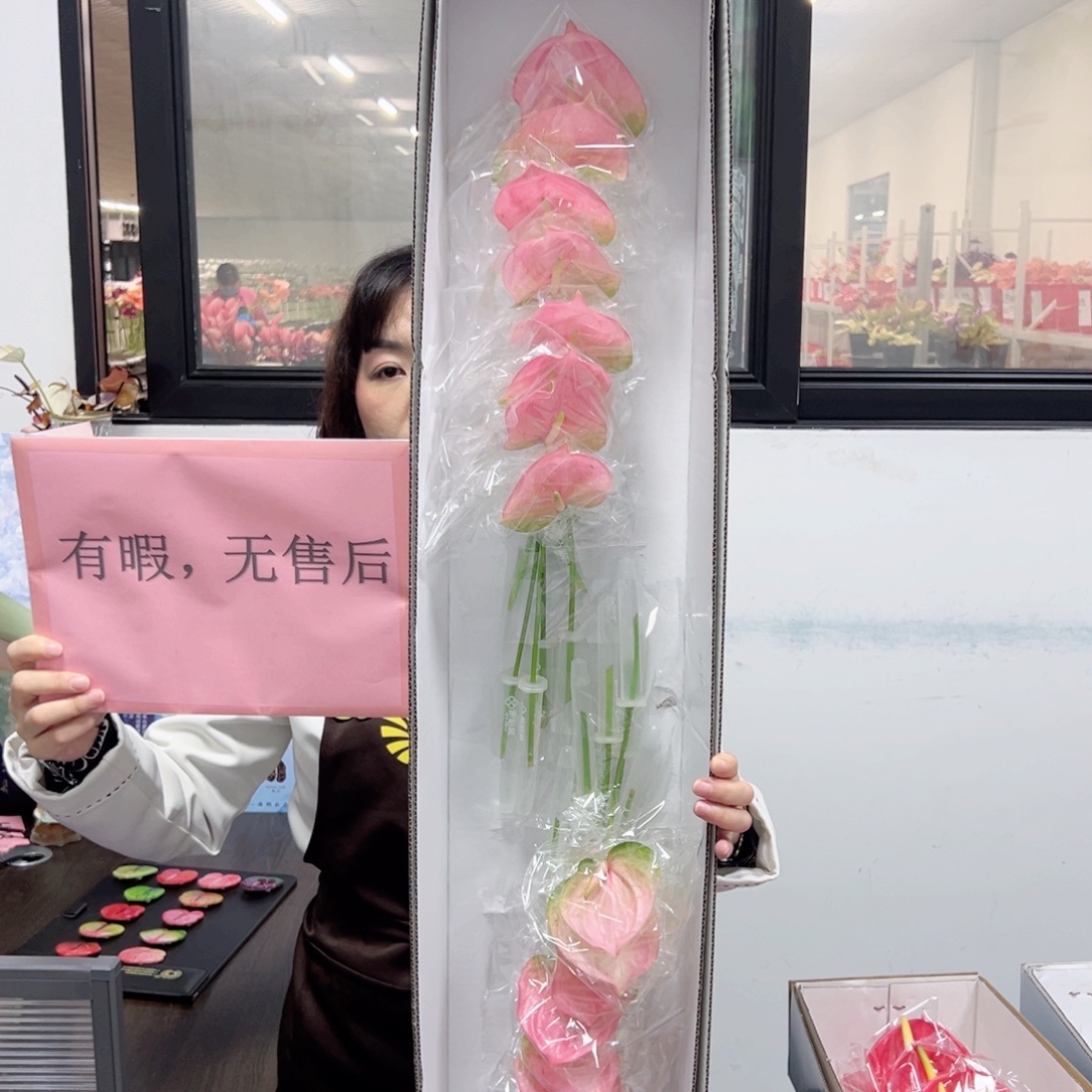 完全开放菲斯蒂诺-16枝装无售后款！