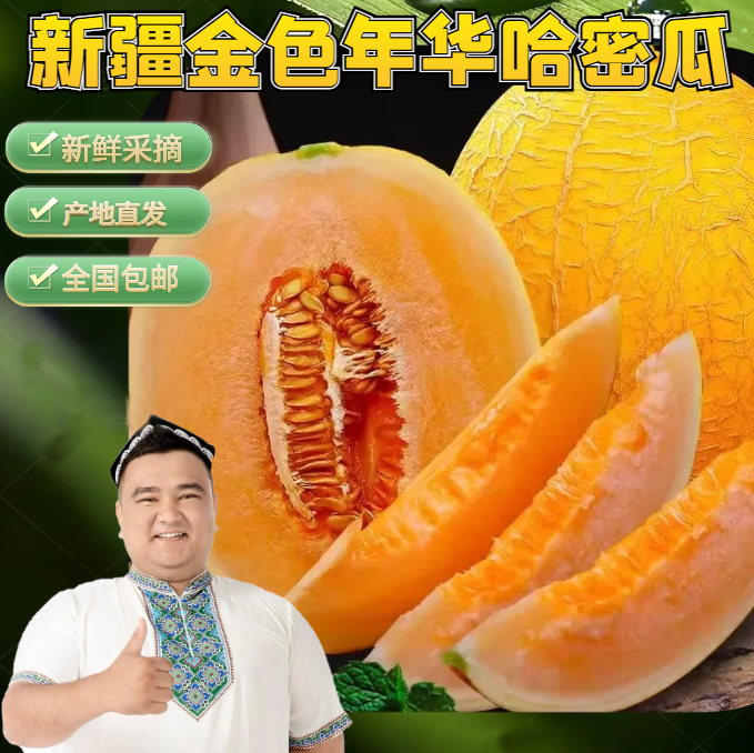 新疆空运直发 正宗火焰山脚下的金色年华哈密瓜脆甜可口全国包邮