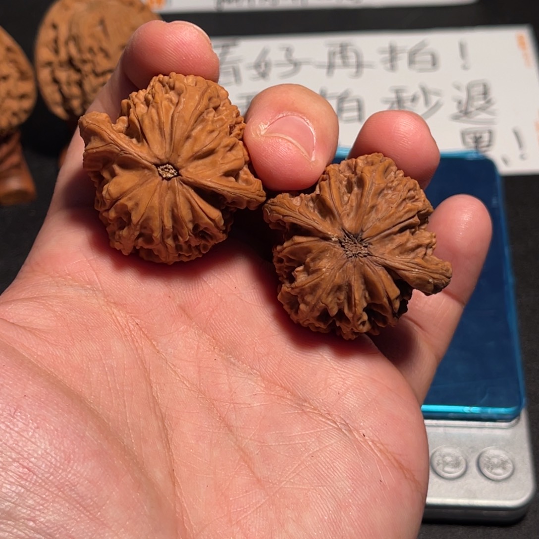 39全品红皮山地磨盘