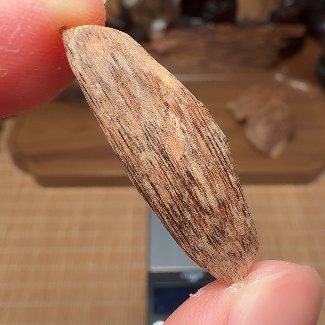 沉香广西博白瓜子
