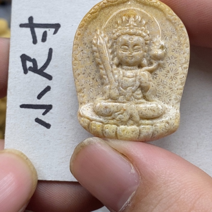 硅化珊瑚（珊瑚玉）未镶嵌颈饰