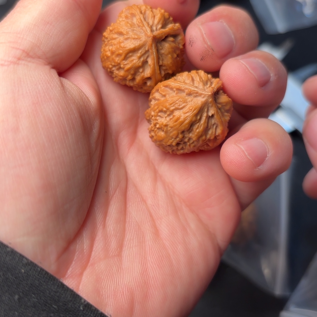 文玩核桃把件1300000000