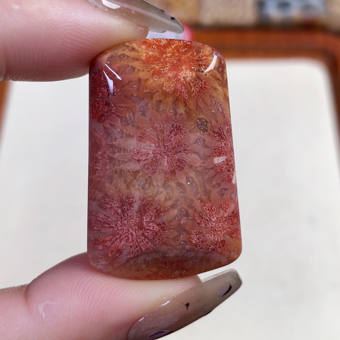 【闪购商品】硅化玉吊坠(赠链)未镶嵌