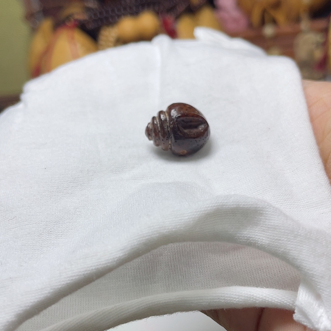 手串星月菩提17.5大海螺