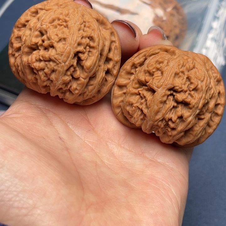 文玩核桃把件粗筋45