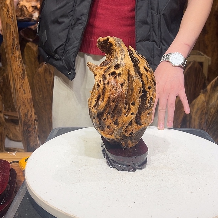 松木（琥珀木）第**段