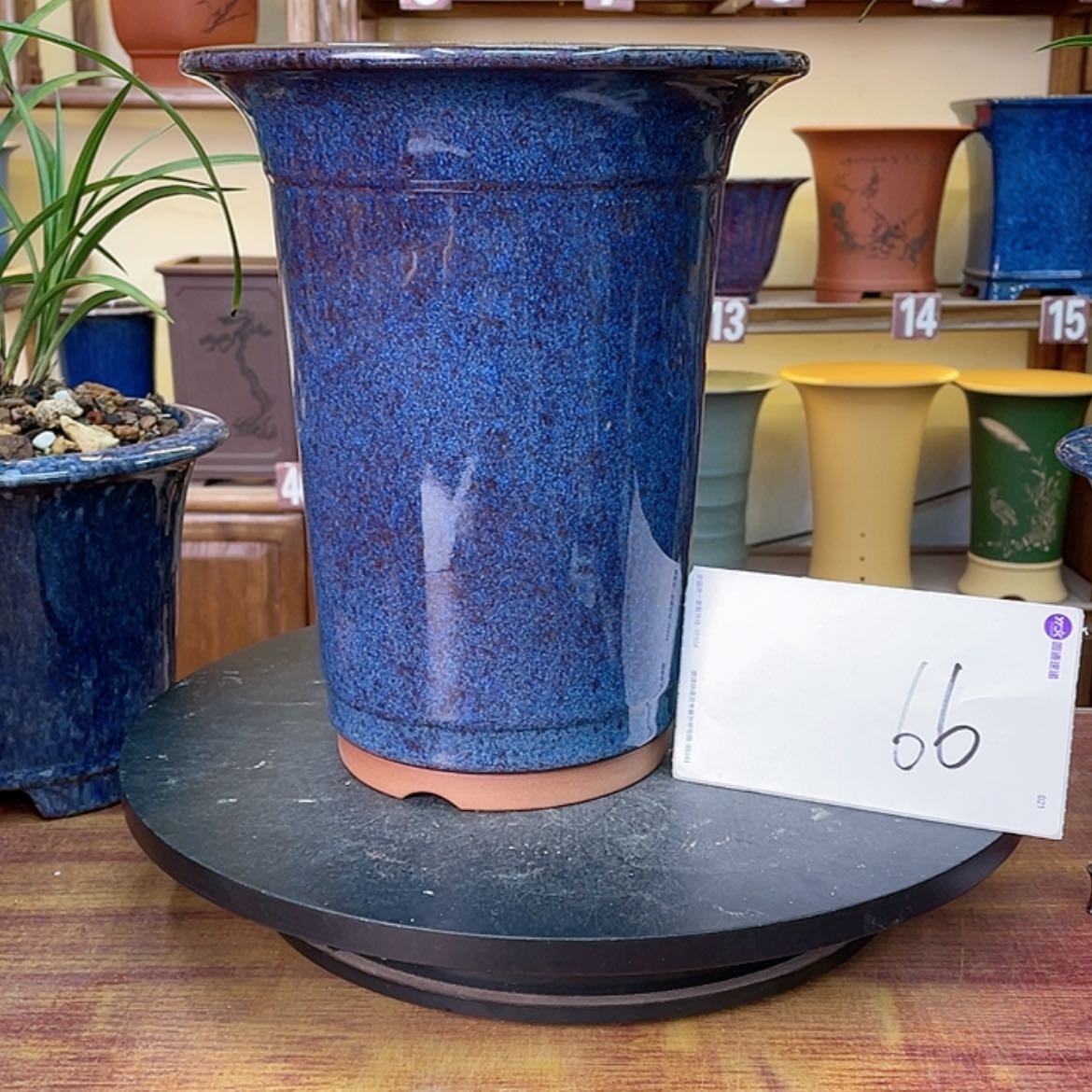 【闪购商品】紫砂花盆槛*人兰花125845558555885