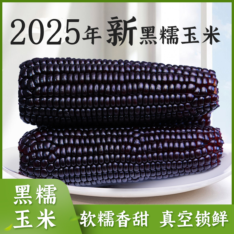 逅甜2025年头茬黑糯玉米真空包装低脂8支240克/根低糖轻食