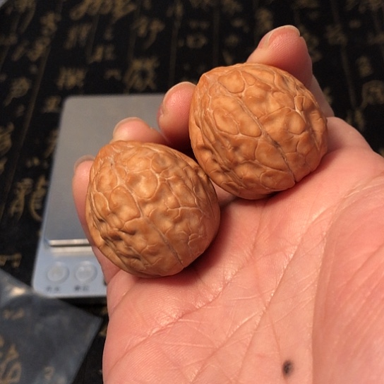 把件文玩核桃鱼甲纹30mm