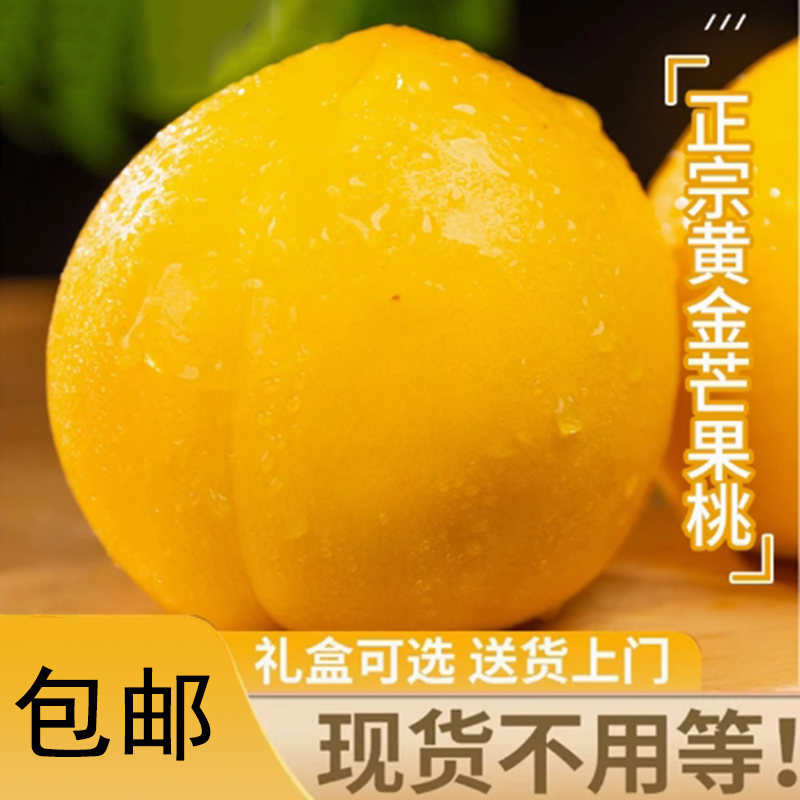 正宗黄金蜜黄桃新鲜毛桃子当季现摘水果整箱黄肉蜜桃大果孕妇包邮