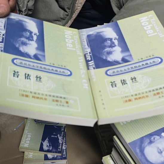 苔依丝两本一套库存书）