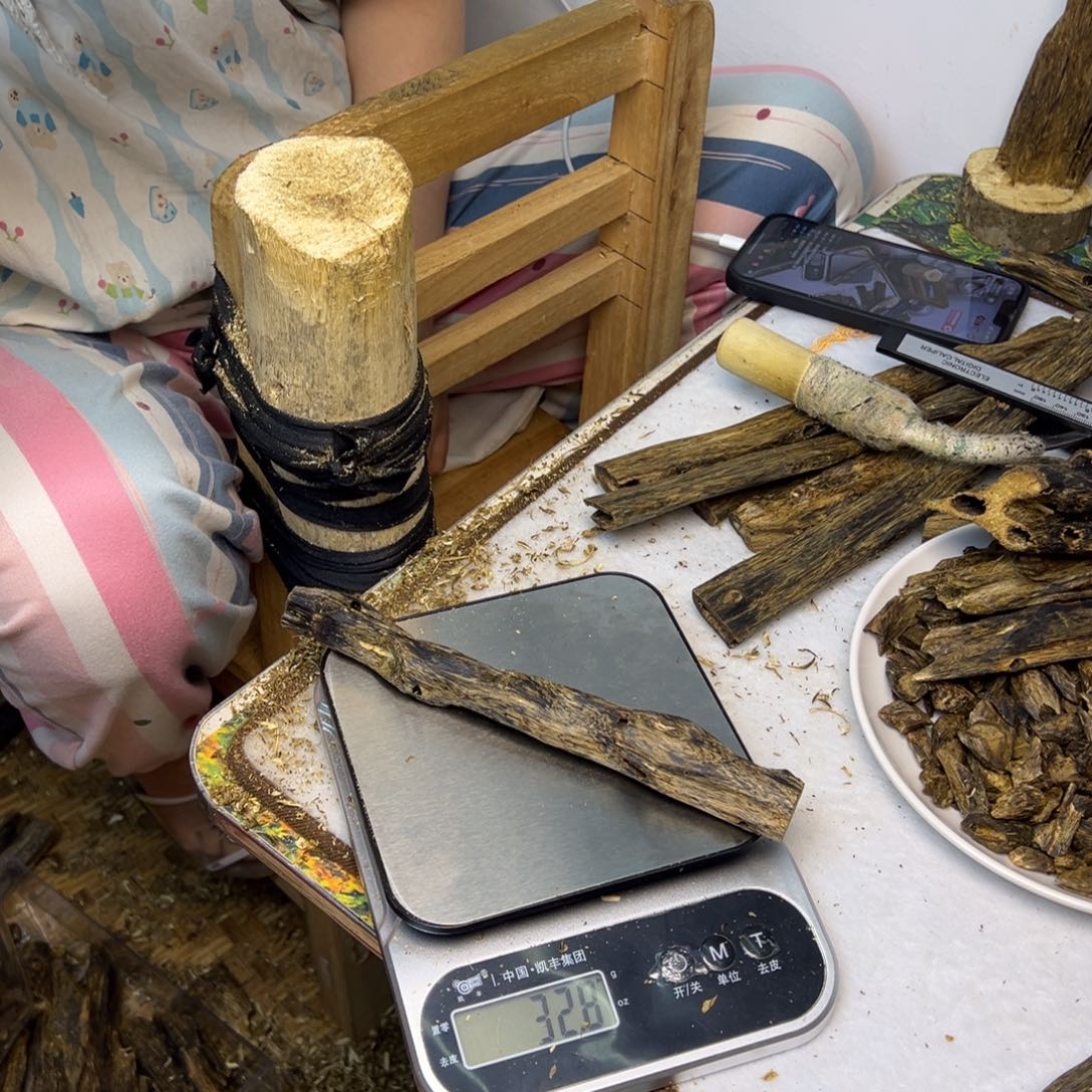 线香奇楠虫漏香32克