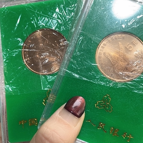 其他普通金属鲟蝶一对人行