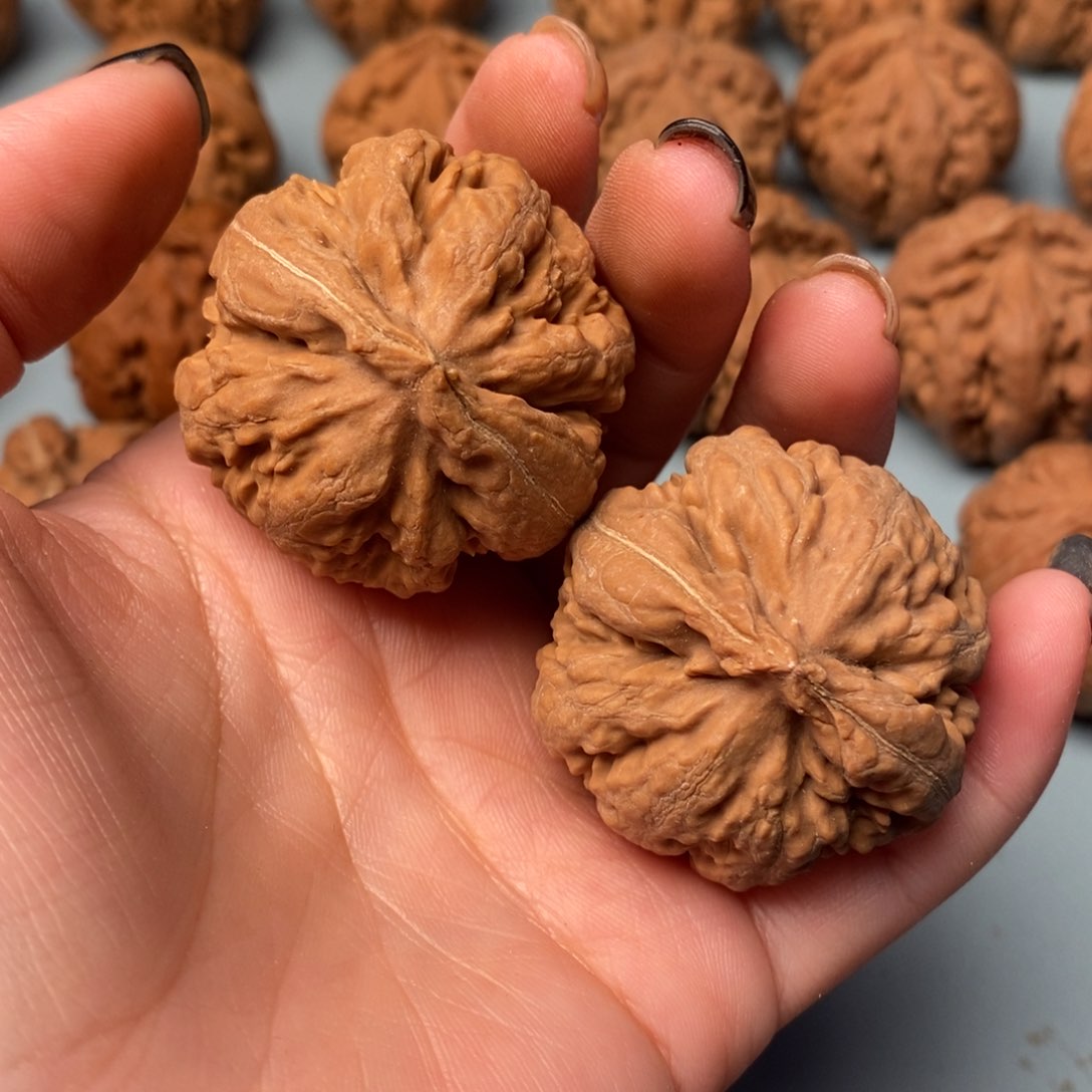 吊坠文玩核桃霸王龙38