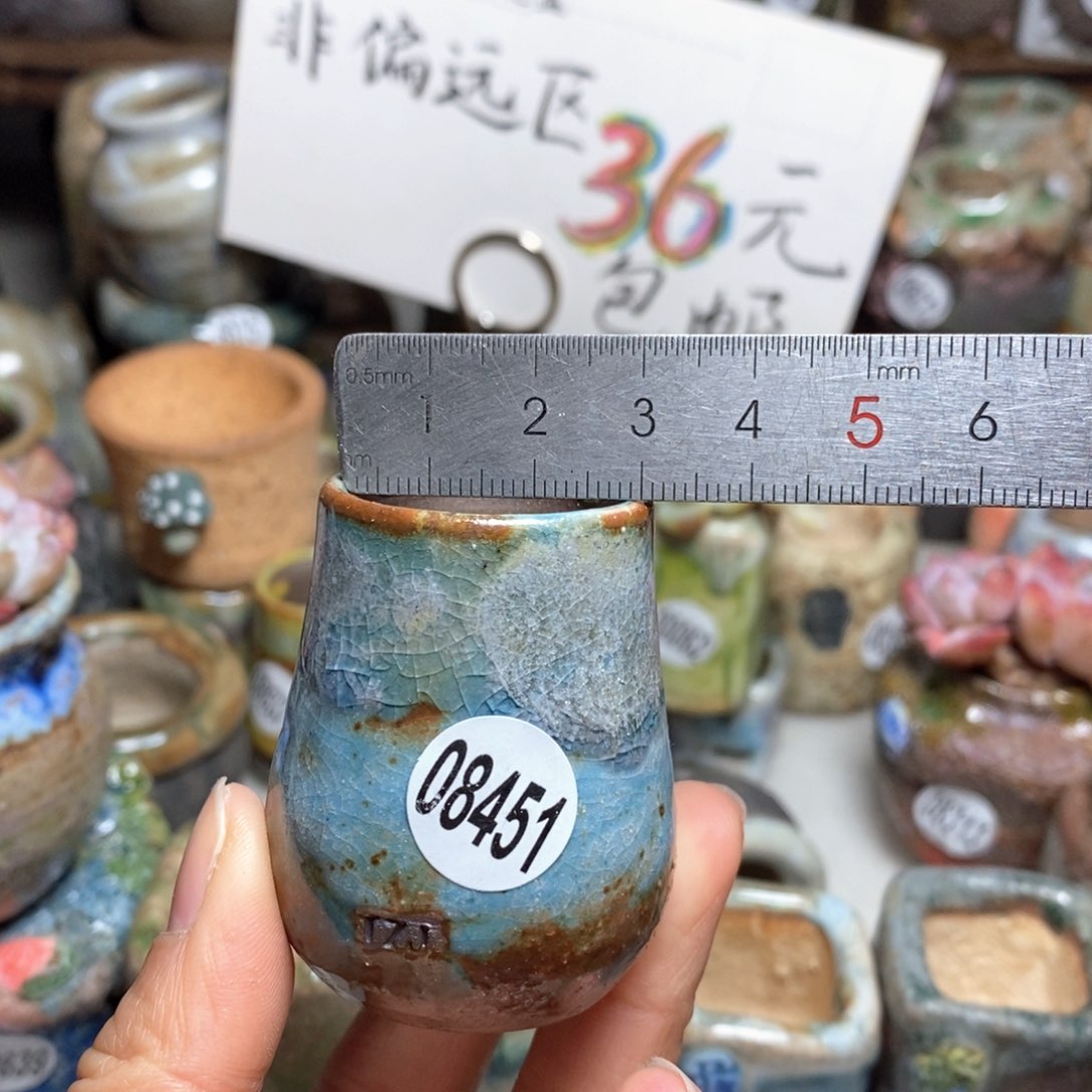 花盆拍5送一个小礼物