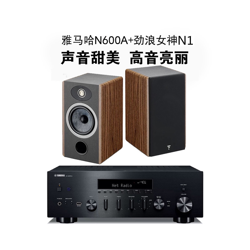 法国进口Focal劲浪Vestia女神n1➕rn600a功放机高端发烧音乐套装