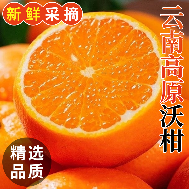S3云南高山沃柑正宗新鲜多汁当季水果新鲜橘子应季水果整箱孕妇
