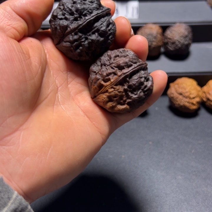 把件文玩核桃B九五玄包42mm