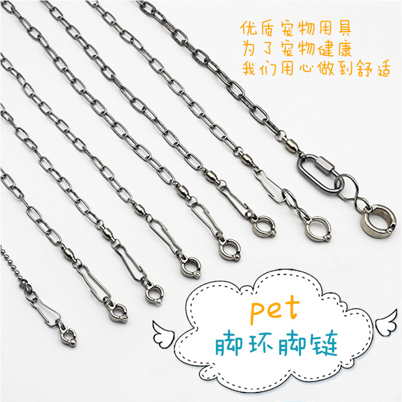 鹦鹉脚环脚链不锈钢鸟链子虎皮八哥牡丹玄凤鸟放飞绳站架鸟链用品