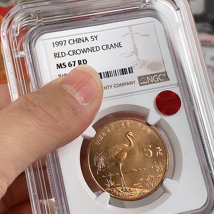 其他普通金属丹顶鹤67铜