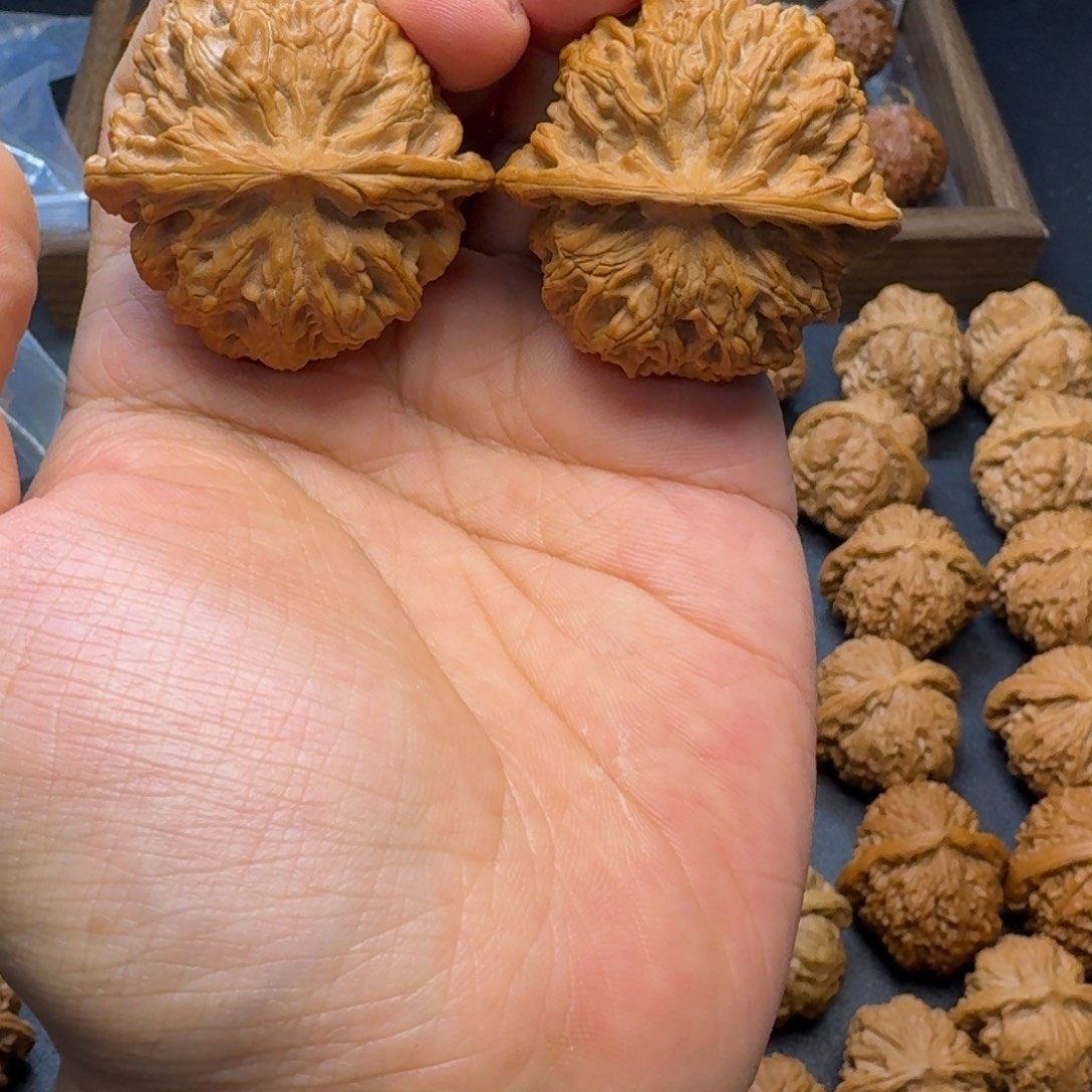 核桃42加微修苹果园