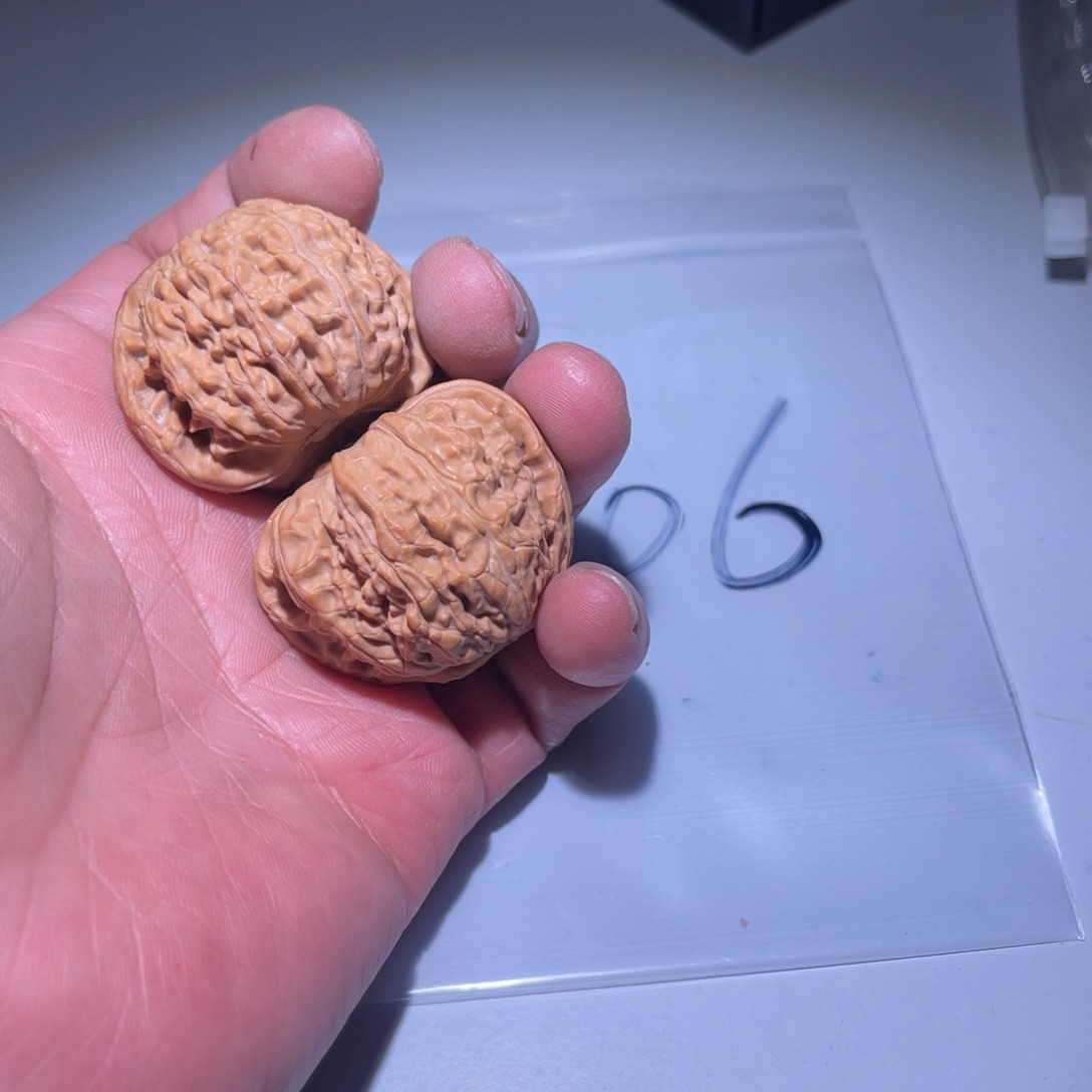 文玩核桃把件白狮子006