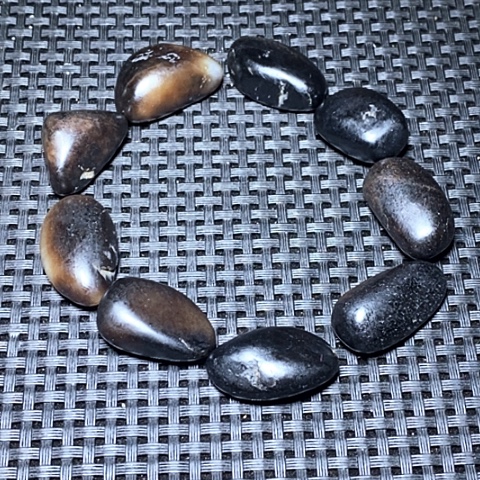 新疆和原石石头陶